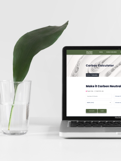 Photo of a laptop with the carbon calculator on screen, to the right of the open laptop is a clear vase with water and a single green leaf standing in the water